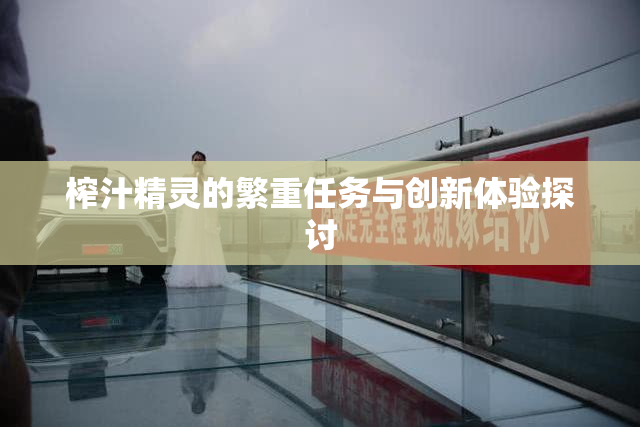 榨汁精灵的繁重任务与创新体验探讨
