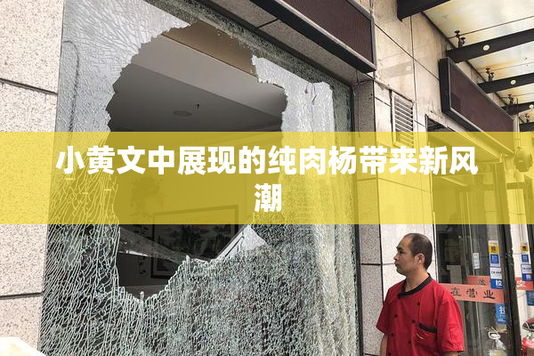 小黄文中展现的纯肉杨带来新风潮