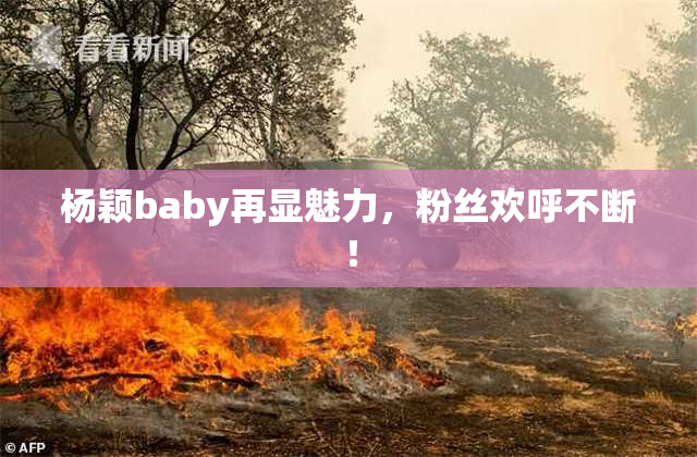 杨颖baby再显魅力，粉丝欢呼不断！