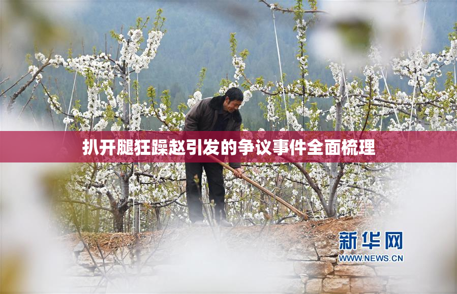 扒开腿狂躁赵引发的争议事件全面梳理
