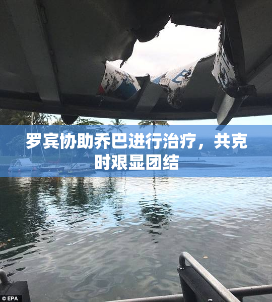 罗宾协助乔巴进行治疗，共克时艰显团结
