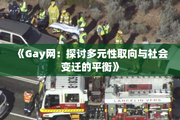 《Gay网：探讨多元性取向与社会变迁的平衡》