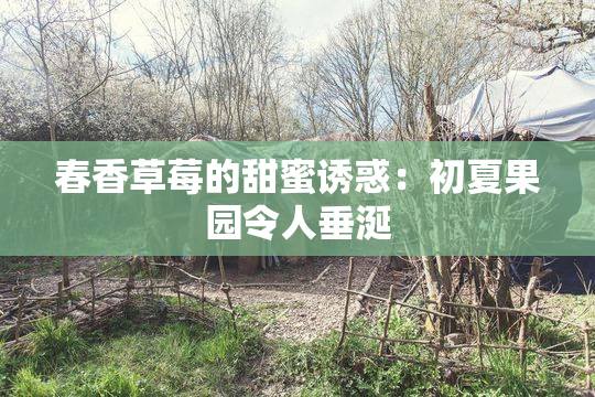 春香草莓的甜蜜诱惑：初夏果园令人垂涎