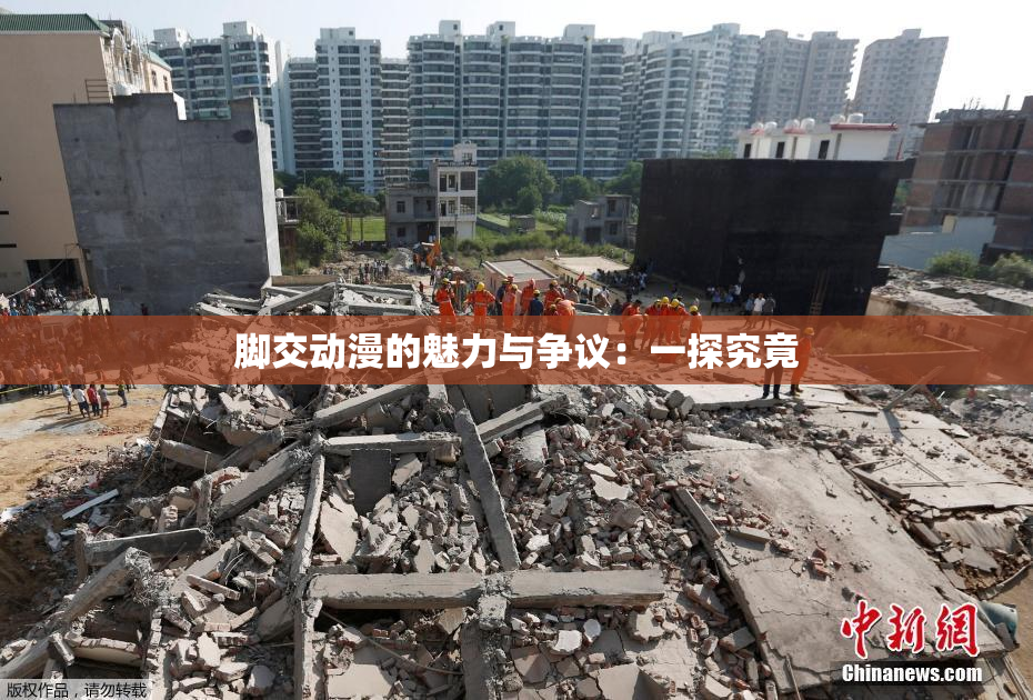 脚交动漫的魅力与争议：一探究竟