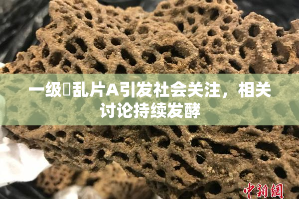 一级婬乱片A引发社会关注，相关讨论持续发酵