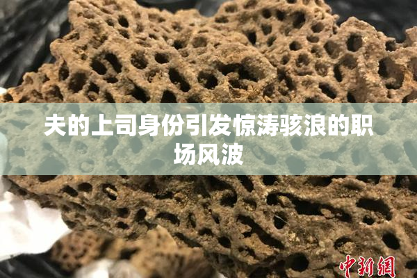 夫的上司身份引发惊涛骇浪的职场风波