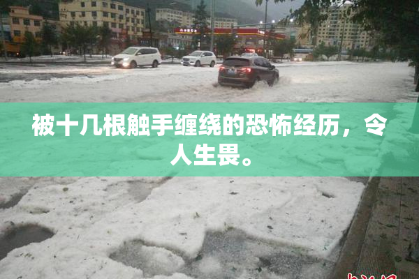 被十几根触手缠绕的恐怖经历，令人生畏。