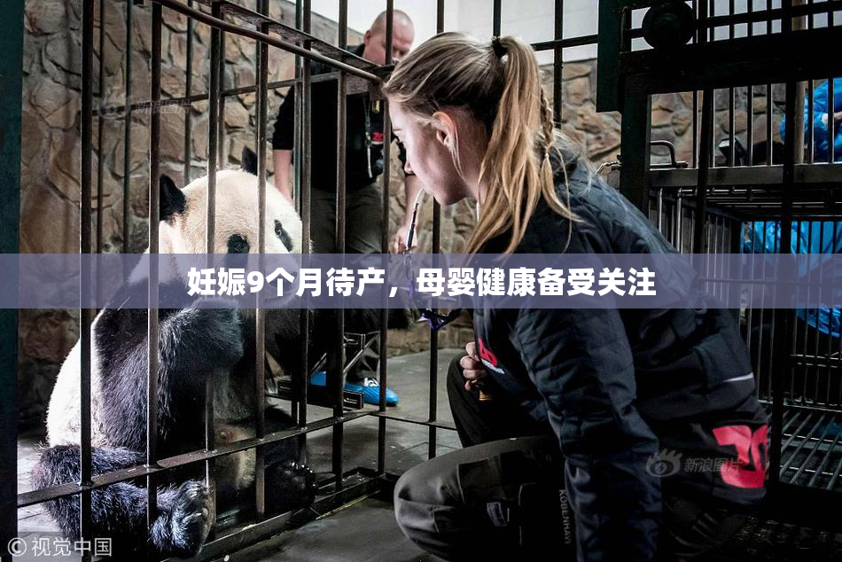 妊娠9个月待产，母婴健康备受关注