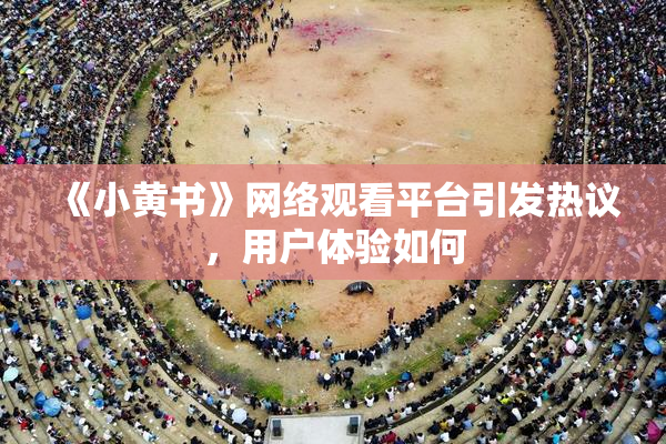 《小黄书》网络观看平台引发热议，用户体验如何