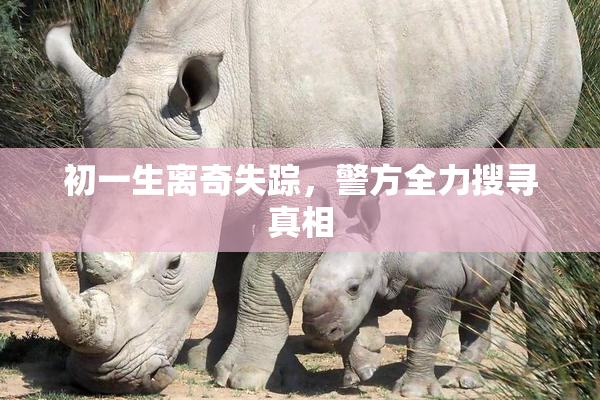 初一生离奇失踪，警方全力搜寻真相
