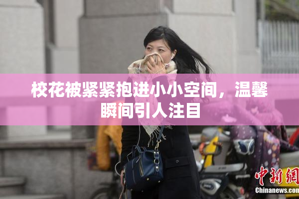 校花被紧紧抱进小小空间，温馨瞬间引人注目