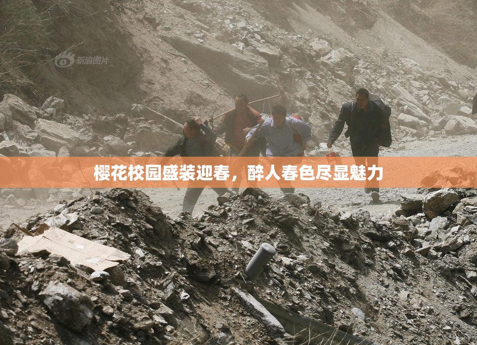 樱花校园盛装迎春，醉人春色尽显魅力