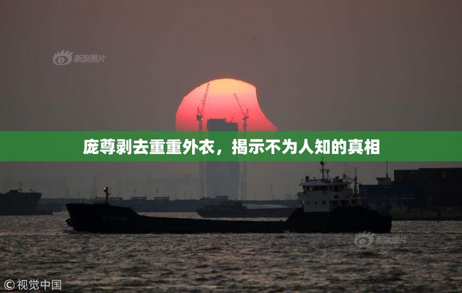 庞尊剥去重重外衣，揭示不为人知的真相