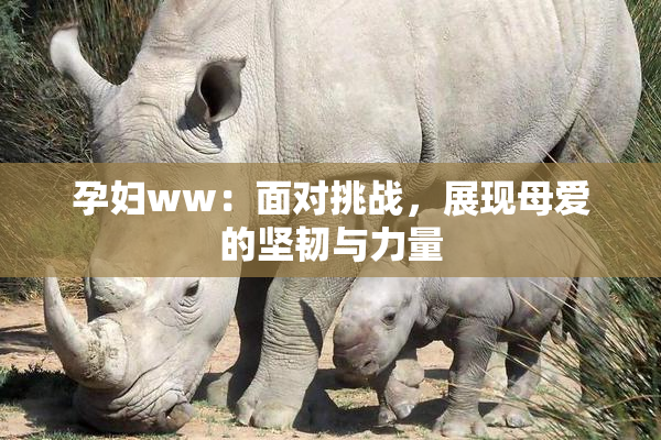 孕妇ww：面对挑战，展现母爱的坚韧与力量