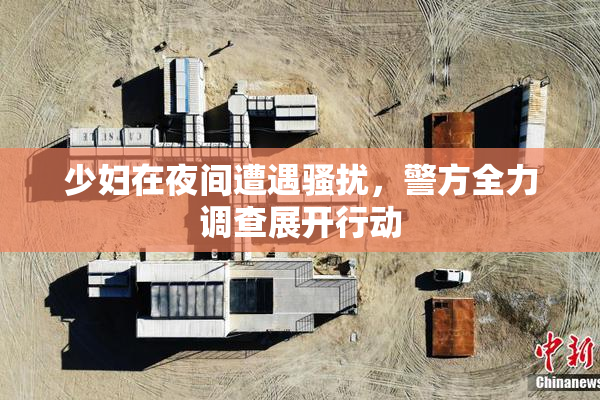少妇在夜间遭遇骚扰，警方全力调查展开行动