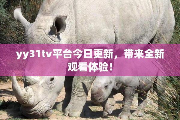 yy31tv平台今日更新，带来全新观看体验！