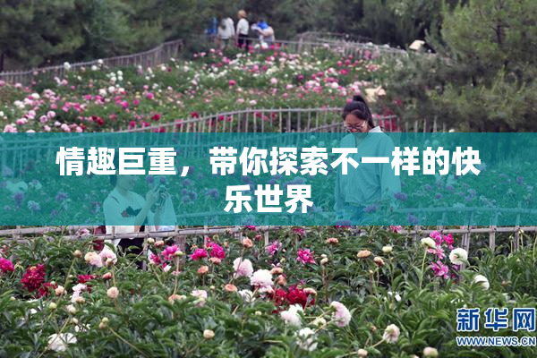 情趣巨重，带你探索不一样的快乐世界