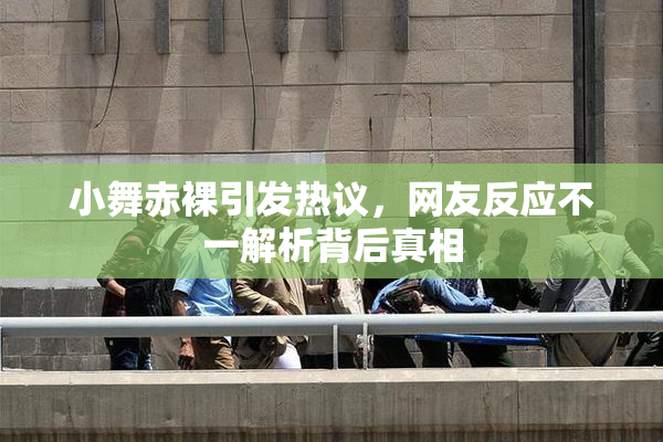小舞赤裸引发热议，网友反应不一解析背后真相