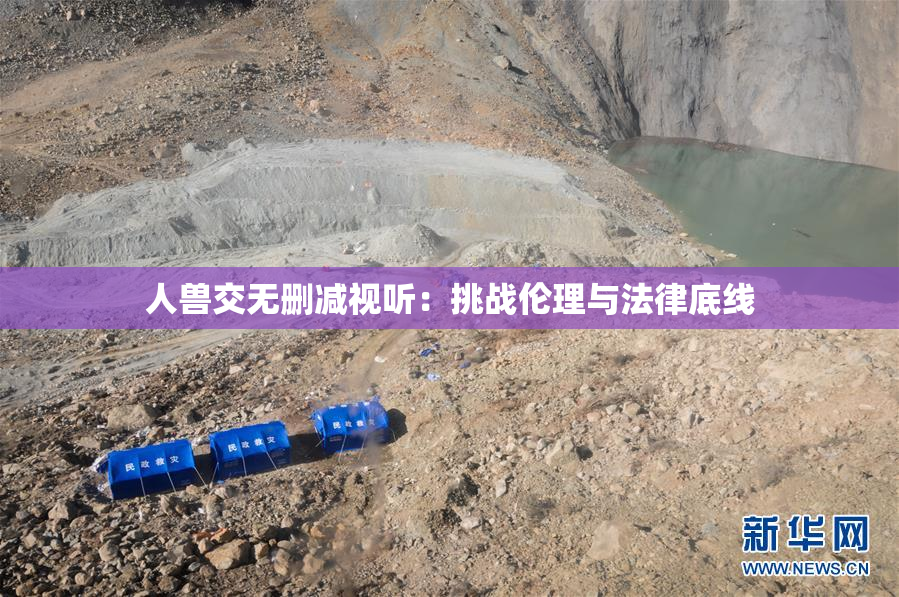人兽交无删减视听：挑战伦理与法律底线
