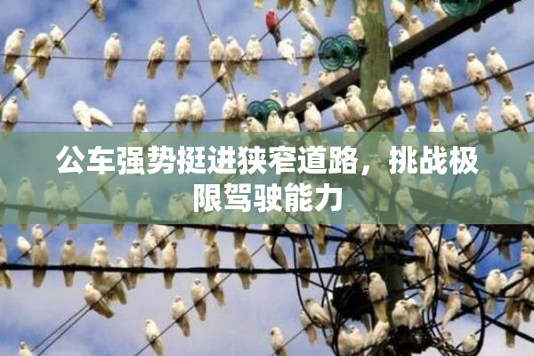 公车强势挺进狭窄道路，挑战极限驾驶能力