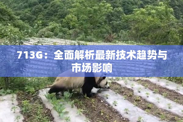 713G：全面解析最新技术趋势与市场影响