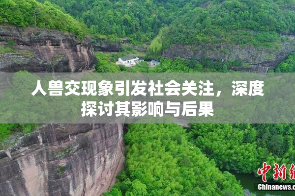 人兽交现象引发社会关注，深度探讨其影响与后果