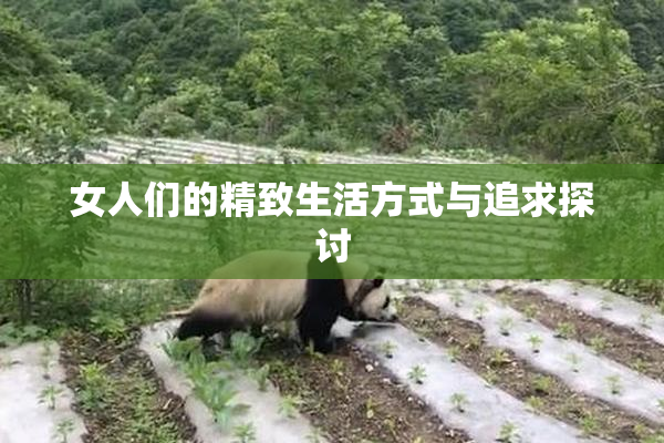 女人们的精致生活方式与追求探讨