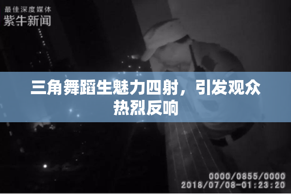 三角舞蹈生魅力四射，引发观众热烈反响
