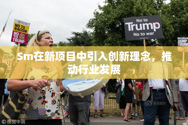 Sm在新项目中引入创新理念，推动行业发展
