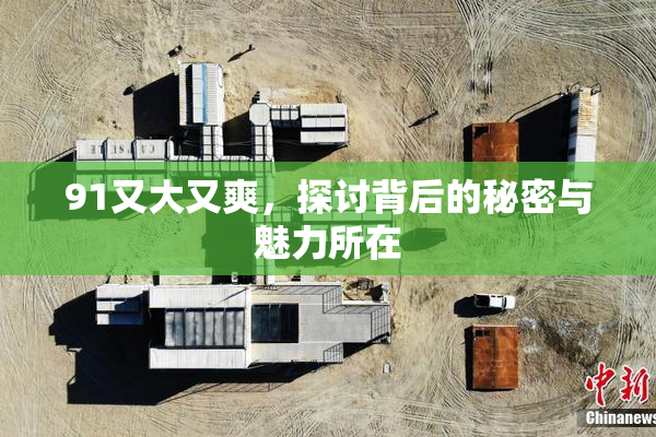 91又大又爽，探讨背后的秘密与魅力所在