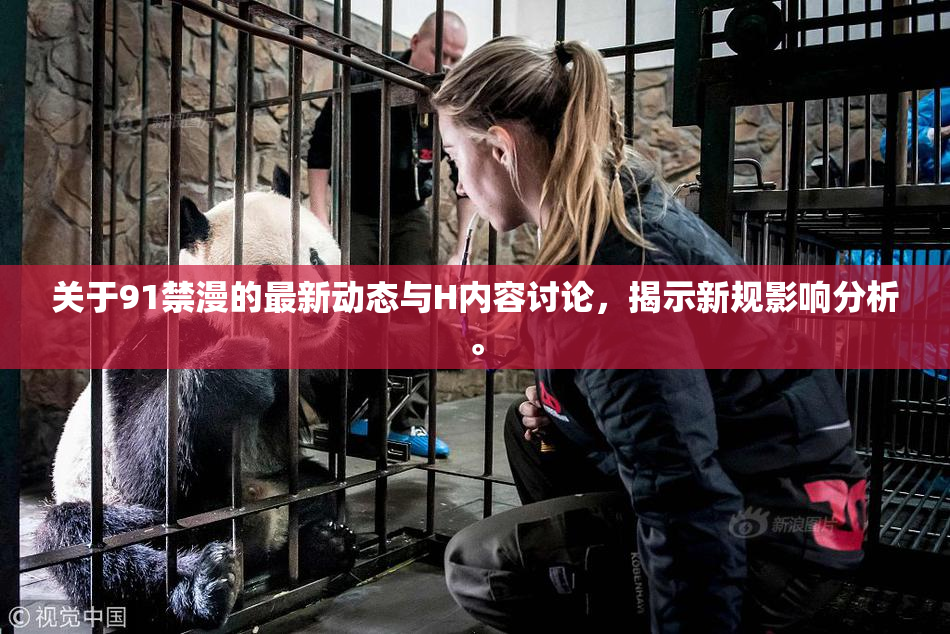 关于91禁漫的最新动态与H内容讨论，揭示新规影响分析。