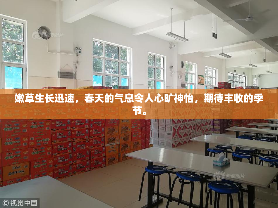 嫩草生长迅速，春天的气息令人心旷神怡，期待丰收的季节。