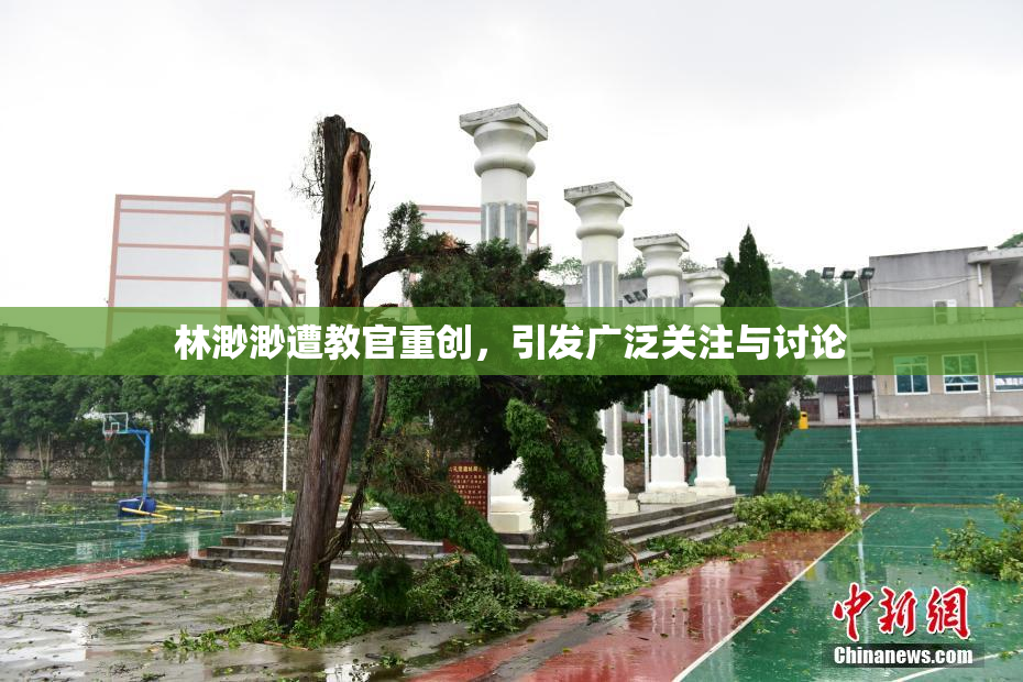 林渺渺遭教官重创，引发广泛关注与讨论