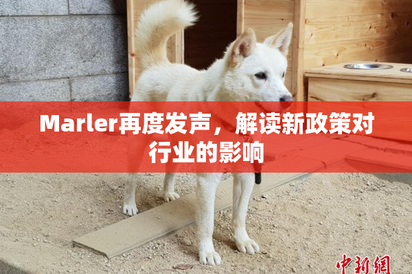 Marler再度发声，解读新政策对行业的影响