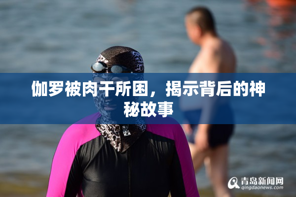 伽罗被肉干所困，揭示背后的神秘故事
