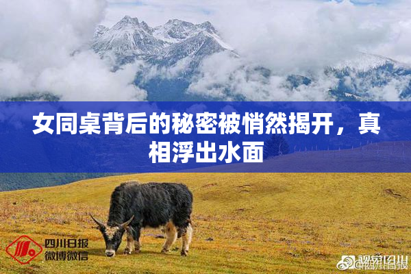 女同桌背后的秘密被悄然揭开，真相浮出水面