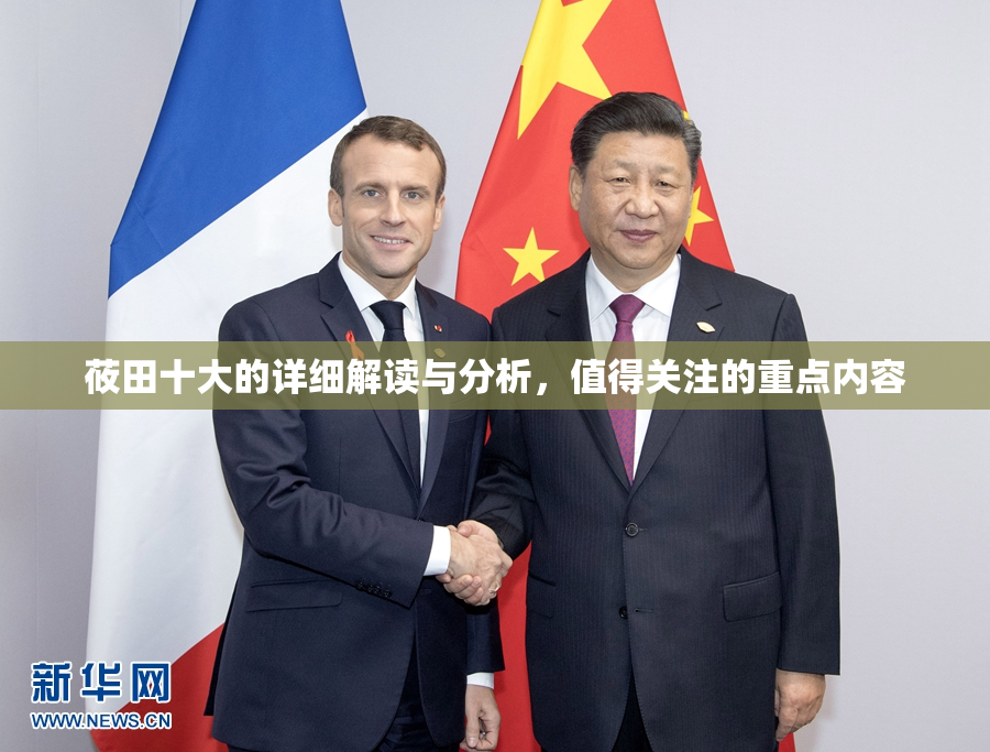 莜田十大的详细解读与分析，值得关注的重点内容