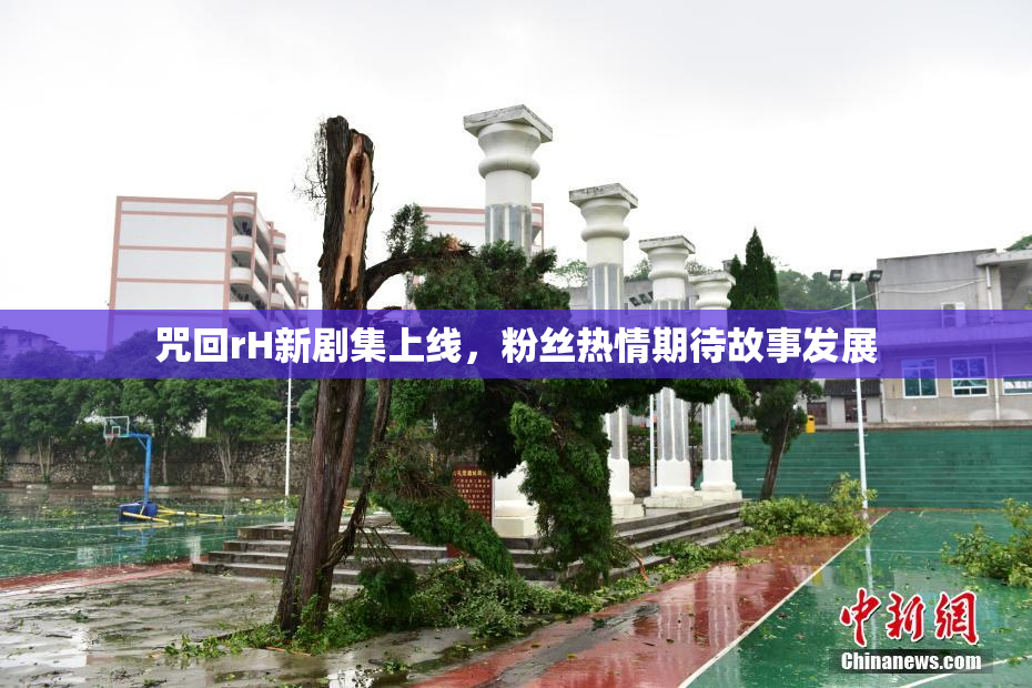 咒回rH新剧集上线，粉丝热情期待故事发展