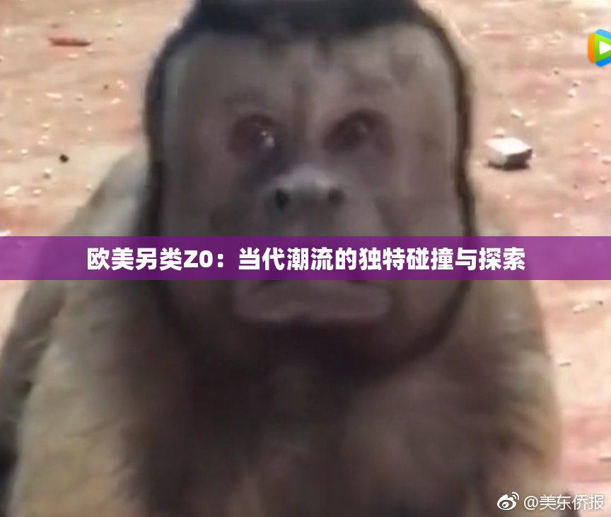 欧美另类Z0：当代潮流的独特碰撞与探索