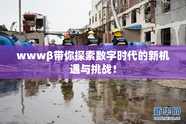 wwwβ带你探索数字时代的新机遇与挑战！