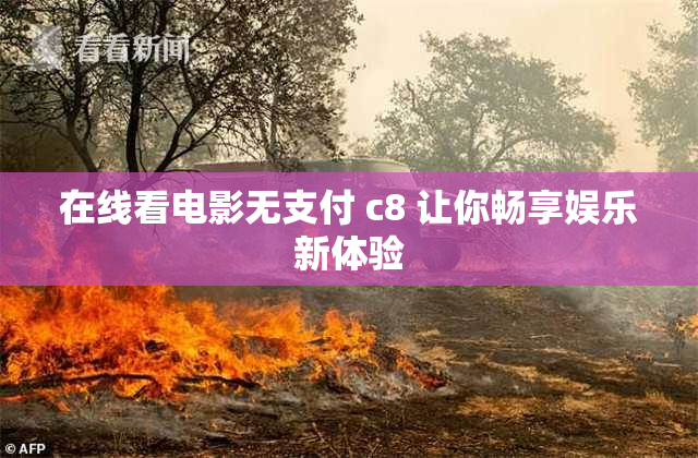 在线看电影无支付 c8 让你畅享娱乐新体验