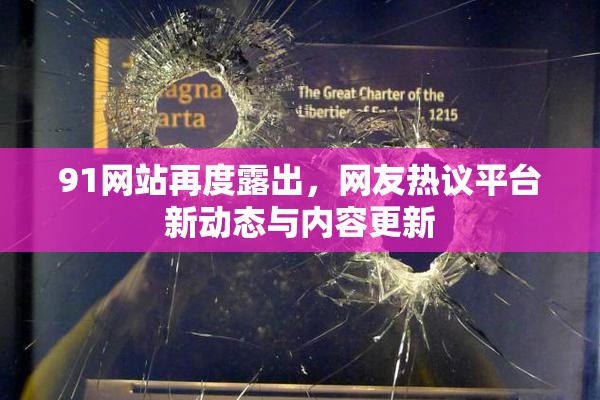 91网站再度露出，网友热议平台新动态与内容更新