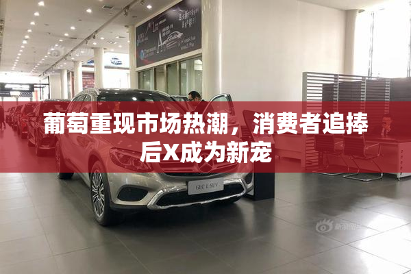 葡萄重现市场热潮，消费者追捧后X成为新宠