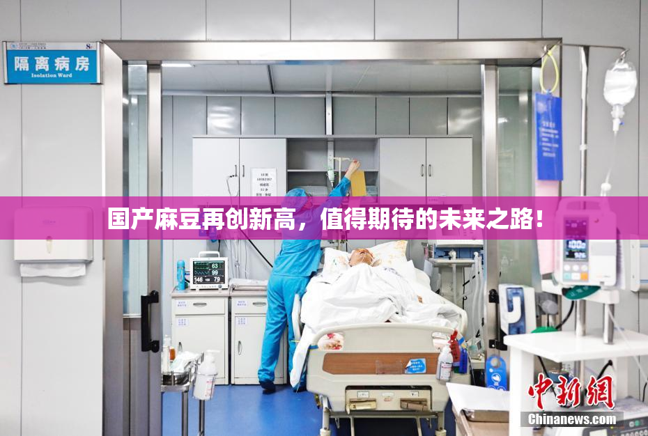 国产麻豆再创新高，值得期待的未来之路！