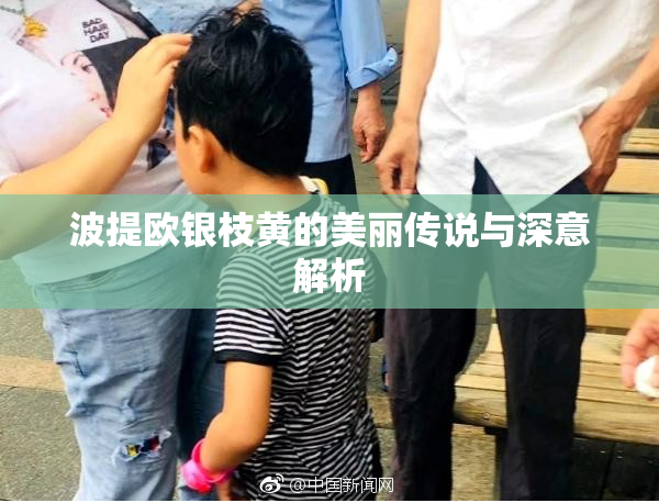 波提欧银枝黄的美丽传说与深意解析