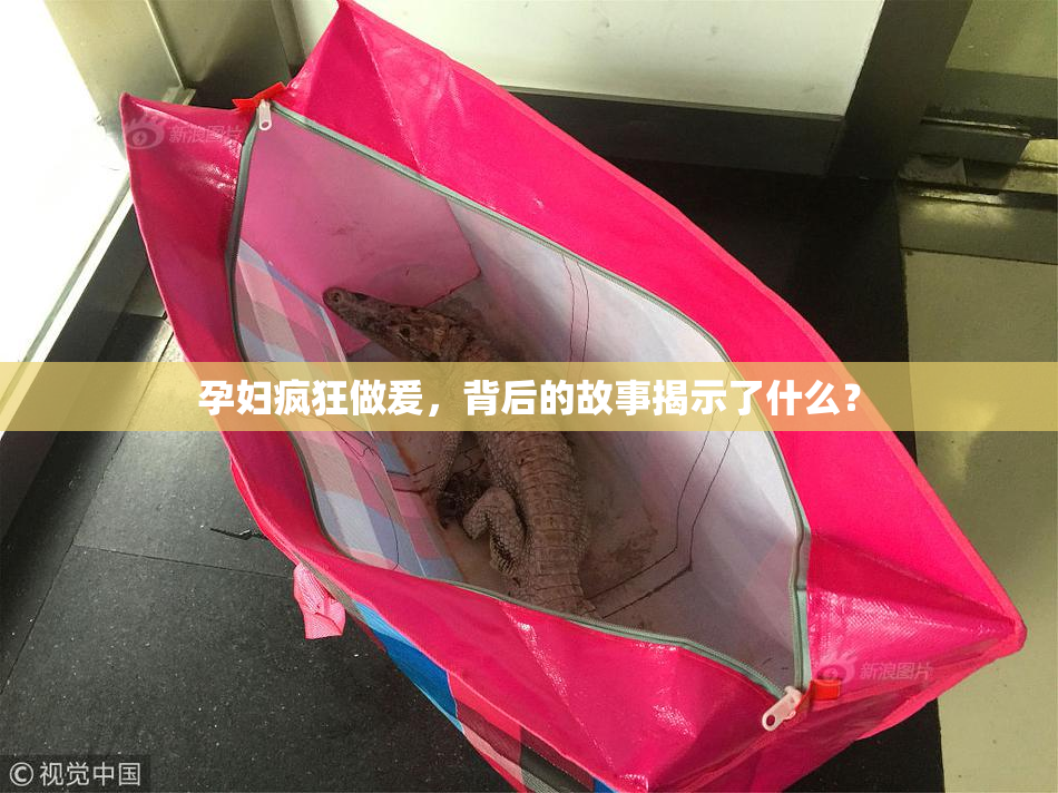 孕妇疯狂做爰，背后的故事揭示了什么？