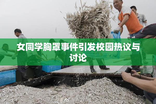 女同学胸罩事件引发校园热议与讨论