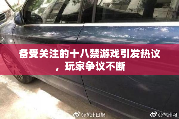 备受关注的十八禁游戏引发热议，玩家争议不断