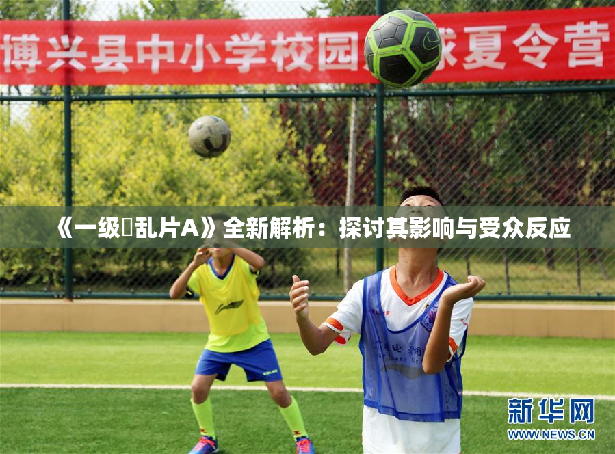 《一级婬乱片A》全新解析：探讨其影响与受众反应