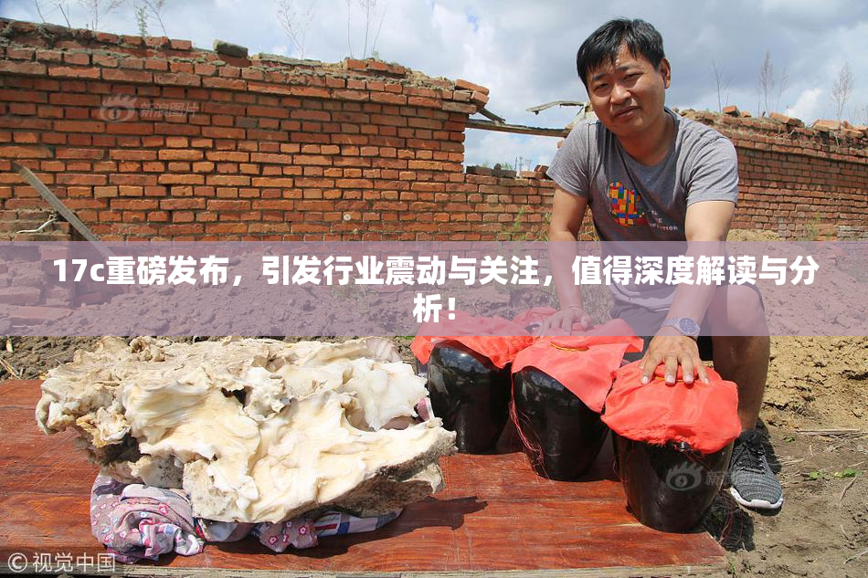 17c重磅发布，引发行业震动与关注，值得深度解读与分析！